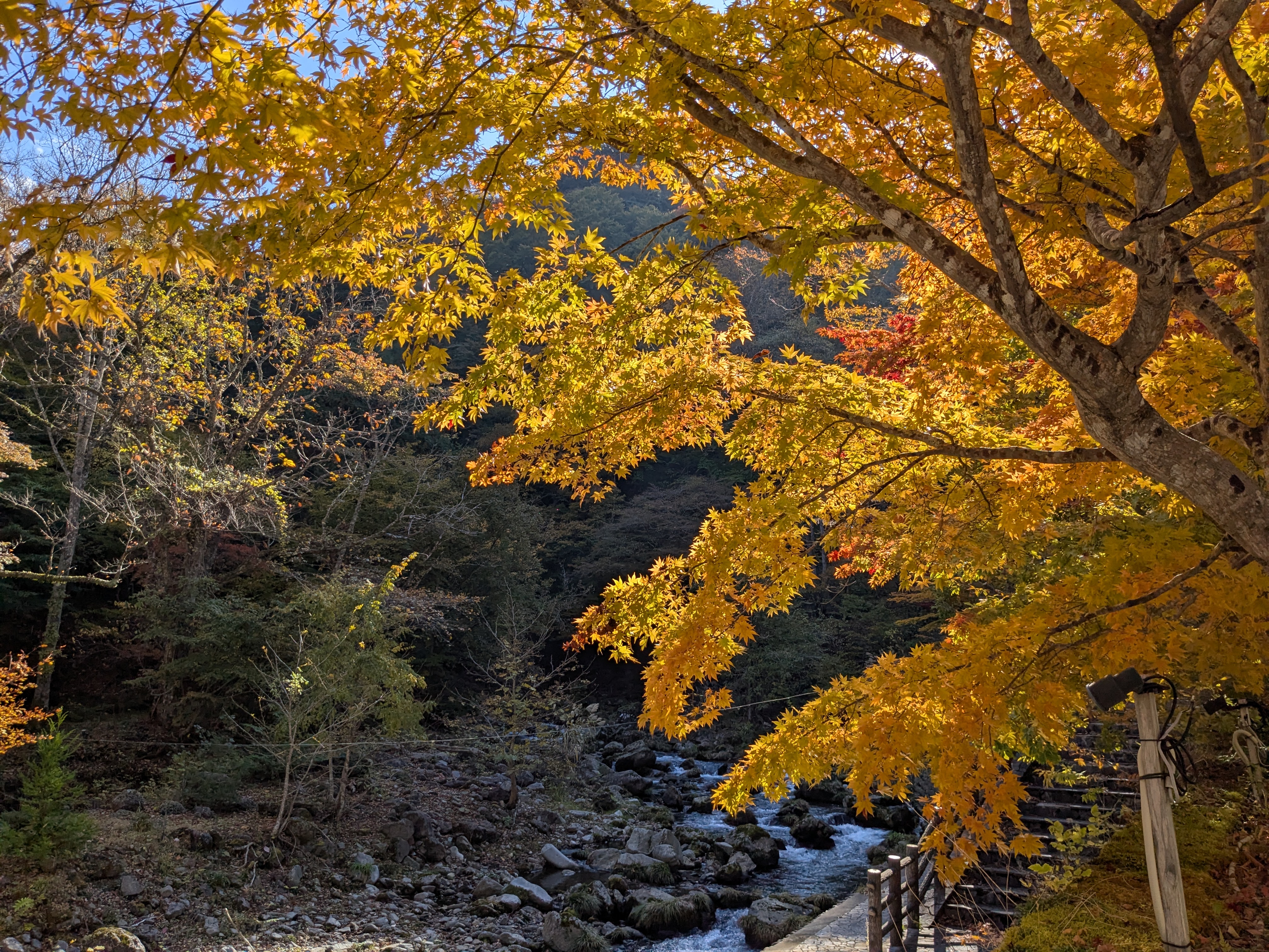 温泉前の紅葉